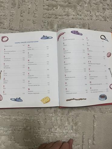 катя петя: Умная Собачка Соня. ПОДАРОЧНОЕ ИЗДАНИЕ Отличный подарок и не дорого — 5