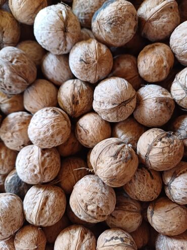 Сухофрукты, орехи, снеки: Срочно продается гредский орех,вес 19,55 кг Цена договарнная