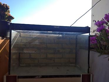akvarium satilir: Dördbucaq akvarium, Boş, 90 l, Ünvandan götürmə — 2