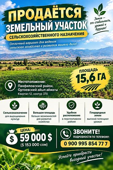 1560 соток, Для сельского хозяйства at lalafo.kg 1560 соток, Для сельского хозяйства