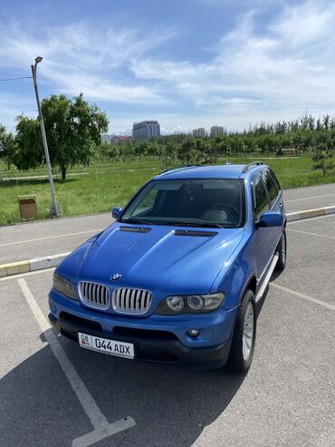 спиринтер сини: BMW X5: 2004 г., 3 л, Автомат, Дизель, Внедорожник