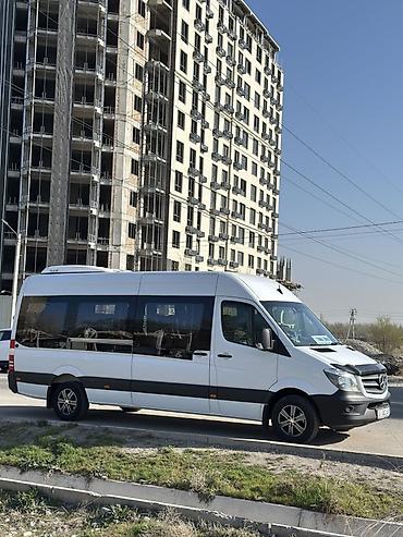 Пассажирский бус на заказ: Пункт назначения: Все направления, Количество мест: 18 — 12