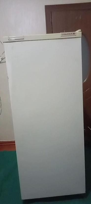 xaladelnik rezini: Ağ rəngli bir qapılı soyuducu. Xüsusiyyətlər: - Yuxarıda dondurucu — 7