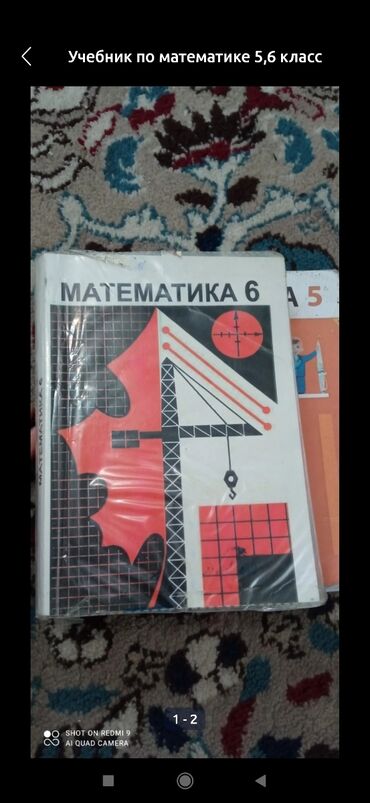 python книга: Математика 5.6 кл