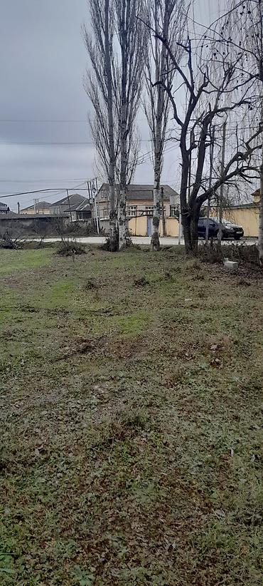 Torpaq sahələrinin satışı: Tikinti — 4