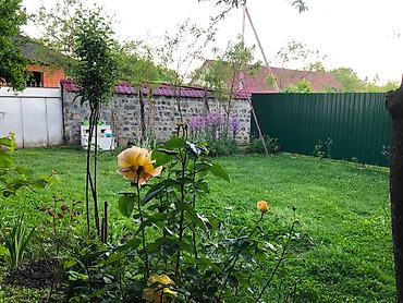 Günlük kirayə evlər: ​Qaxbaşda, Dağ Ətəyində Yaşıllıq İçində Həyət Evi! ​Qaxbaş kəndində — 12