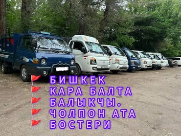 Легкий грузовой транспорт: Легкий грузовик, Hyundai