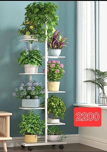 Оңдоп-түзөө жана курулуш: Гүлдөр үчүн текче, этажерка, Жаңы, Темир — 2