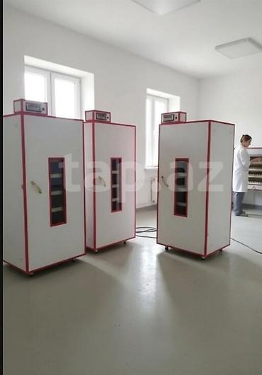 toyuq ucuz qiymete: İnkubator 1000 yumurtalıq zakasla yigilir tam afdamat isdeyeyir unvan — 1