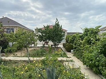 Həyət evləri və villalar: Nardaran qəs. 3 otaqlı, 76 kv. m, Yeni təmirli — 2