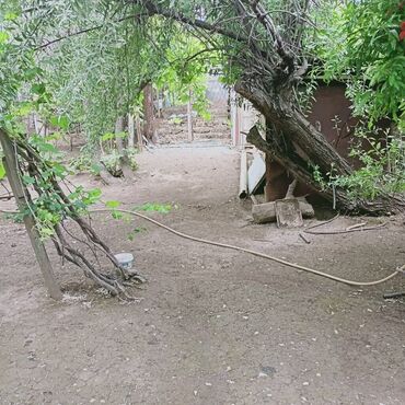 Həyət evləri və villaların satışı: 7 otaqlı, 150 kv. m, Kredit yoxdur, Orta təmir — 23