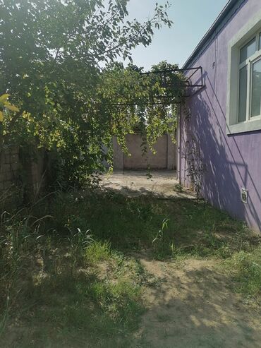 emlak az xezer rayonu bine qesebesi südcülük savxozu: Ünvan Savxoz Ramana. Avtobus yolundan 60 m mesafede. Sened sərəncam