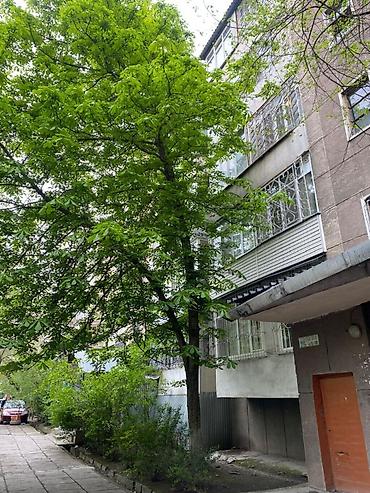 Продажа квартир: 3 комнаты, 65 м², Индивидуалка, 5 этаж, Косметический ремонт — 10