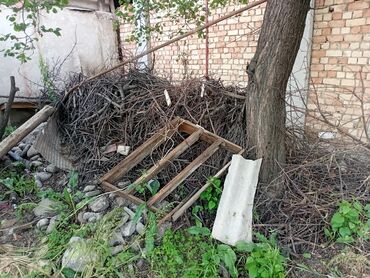 орукту: Отун