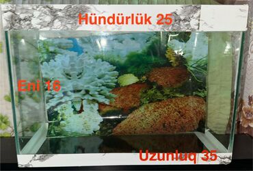Akvariumlar: Dördbucaq akvarium, Boş, 70 l, Ödənişli çatdırılma — 19