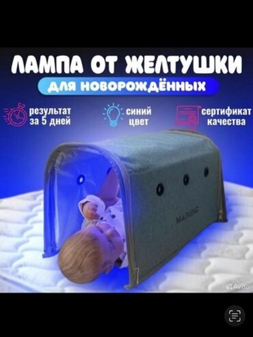 цена мишки на день рождения: Фото лампа от желтуха,сдается аренда !День 500с фотолампа от желтуха