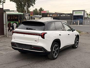 Hozon: Hozon Neta L: 2024 г., 1.5 л, Автомат, Гибрид, Кроссовер — 3