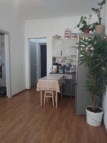 кафешка: 1 комната, 31 м², Кок-Жар ж/м Малосемейка, 2 этаж, Свежий ремонт — 2