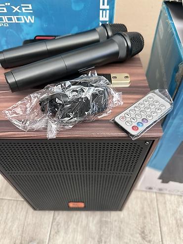 колонка для ноутбука usb: Портативная акустическая система SS-3101 (Professional Battery — 6