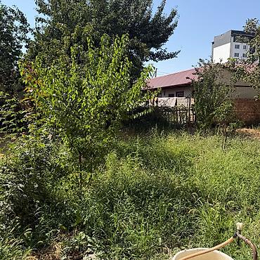 Продажа коттеджей и домов: 6 комнат и более, 216 м², 8 соток, Бишкек, Арча-Бешик ж/м Агентство недвижимости — 14