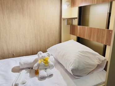 Otaqların günlük kirayəsi: Şəhərin mərkəzində, Qış Parkının yaxınlığında yerləşən Alina Home Baku — 14