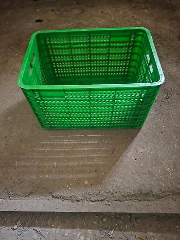 Digər mağaza avadanlığı: Plastik yeşik(tara,sebet,yesik,qutu) istehsalı. ölçülər 60/40/10sm — 7