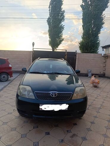 таета королла: Toyota Corolla: 2003 г., 2 л, Механика, Газ, Универсал