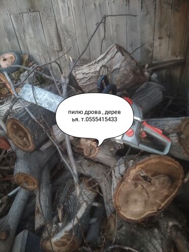 попилить дрова цена: Пилю дрова валю деревья. одна заправка бензин масло работа всё