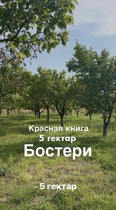 Недвижимость: 500 соток, Для бизнеса, Красная книга — 1