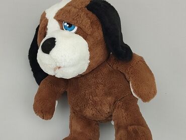 Mascots: Mascot Dog, condition - Fair