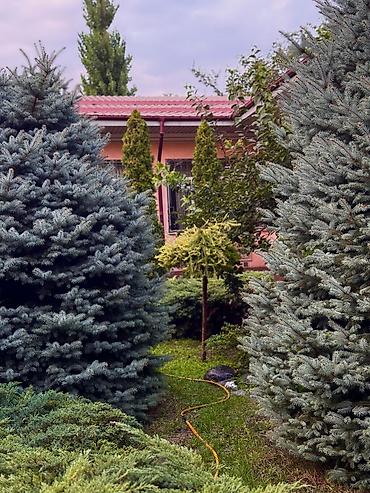 Продажа коттеджей и домов: Продаются два кирпичных дома на одном участке — отличное предложение — 1