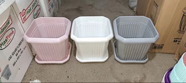 Digər gözəllik və sağlamlıq xidmətləri: Dibcek ucun hasar ceper gul ucun ceper hasar dibcekler ucun hasar -da lalafo.az — 17 Digər gözəllik və sağlamlıq xidmətləri: Dibcek ucun hasar ceper gul ucun ceper hasar dibcekler ucun hasar — 17