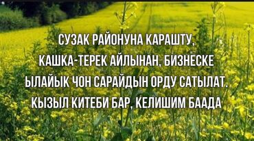 мини цех ищет работу: 30 соток, Для бизнеса, Красная книга