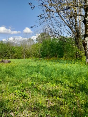 Torpaq sahələrinin satışı: 30 sot, Kənd təsərrüfatı, Mülkiyyətçi, Kupça (Çıxarış) -da lalafo.az — 15 Torpaq sahələrinin satışı: 30 sot, Kənd təsərrüfatı, Mülkiyyətçi, Kupça (Çıxarış) — 15
