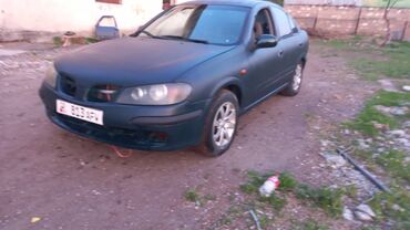 Nissan: Nissan Almera: 2001 г., 1.8 л, Механика, Бензин, Седан