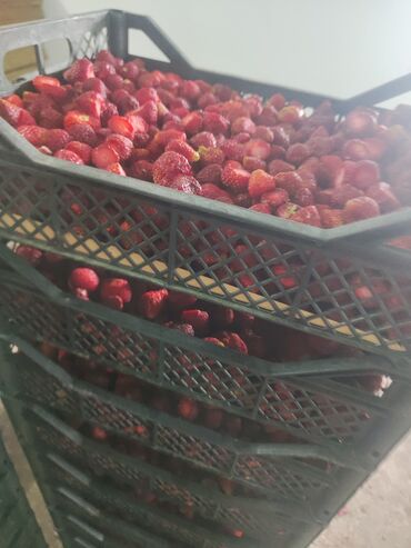 Замороженные фрукты, ягоды: Замороженные фрукты, ягоды — 8