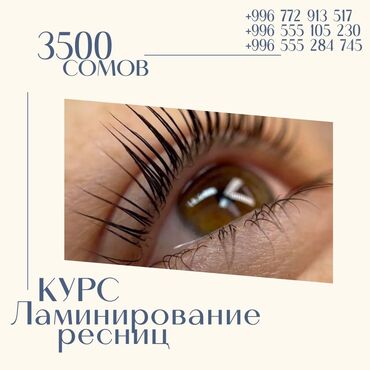 курсы наращивание ресниц: Курсы | | Выдается сертификат, Предоставление расходного материала, Предоставление моделей