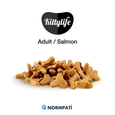 Зоотовары: 🐾 Сухой корм KITTY LIFE — вкус и здоровье в каждой миске! 🔹 Корм для — 8