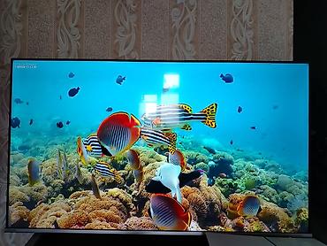 televizor 24: Yeni Televizor Toshiba QLED 50" 4K (3840x2160) — 1