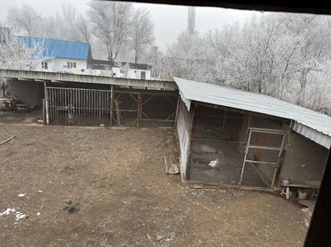 Продажа домов: Дом, 150 м², 5 комнат, Собственник, Евроремонт — 24