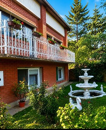 Kuće na prodaju: PRODAJE SE KUĆA U SURDUKU – 135.000 € 354 m² + 11,7 ari građevinskog — 5