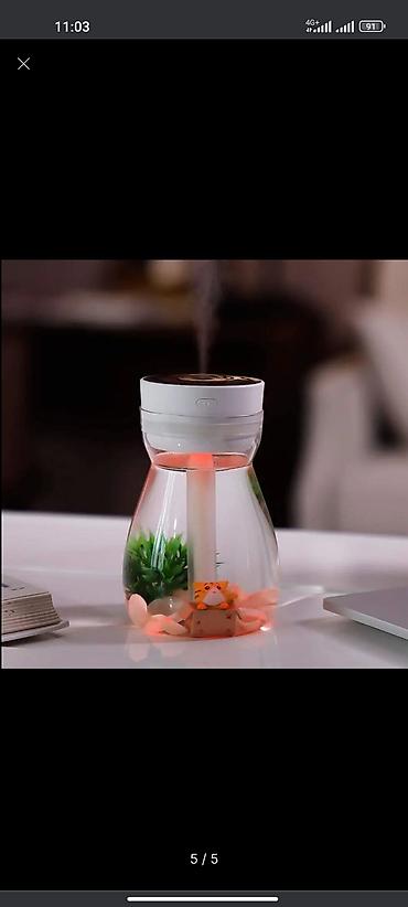 Увлажнители воздуха: Увлажнитель воздуха Brayer, Паровой, Настольный — 9