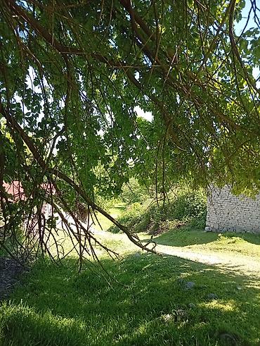 Torpaq sahələrinin satışı: 38 sot, Mülkiyyətçi, Kupça (Çıxarış) — 18