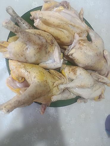 кукуруа: Продаю | Куры | Домашняя | На забой — 7