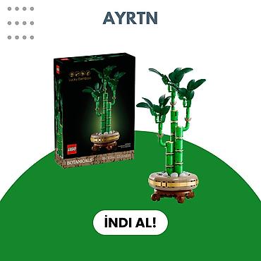 ev iwi: LEGO Botanicals – Lucky Bamboo (10334) - 325 hissədən ibarət — 1
