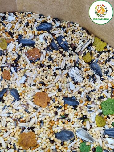 Yemlər: Tutuquşu yemi.(papuqay yemi) Yüksək keyfiyyətli tutuquşu yemini sizə — 13