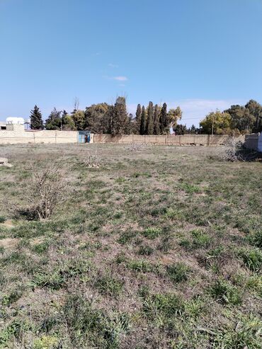 köhnə suraxani: Digah, 35 kv. m, 2 otaqlı, Hovuzsuz, İnternet, Artezian quyusu, İşıq