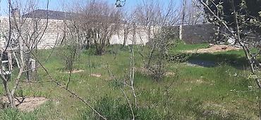 Torpaq sahələrinin satışı: 9 sot, Tikinti, Mülkiyyətçi, Kupça (Çıxarış) — 7