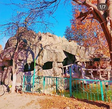 Torpaq sahələrinin satışı: Torpaq sahələrinin satışı -da lalafo.az — 10 Torpaq sahələrinin satışı: Torpaq sahələrinin satışı — 10