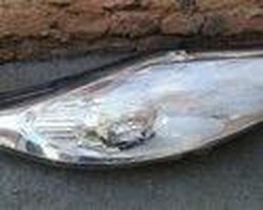 Glave motora: FAROVI ZA SVE MODELE ZA FORD C-MAX, FIESTA, FOCUS . OD 2003. DO — 54